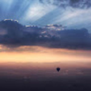 Meet your Posher, Belle